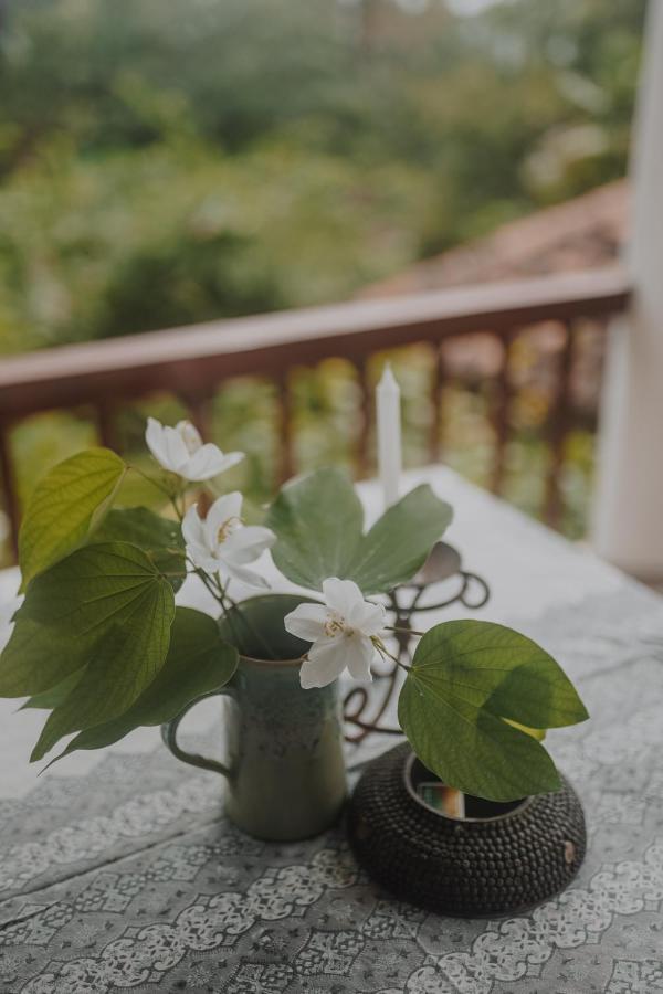 Villa Akasa Varkala Dış mekan fotoğraf