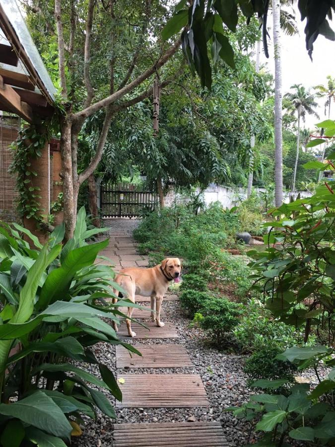Villa Akasa Varkala Dış mekan fotoğraf